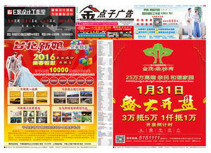 平輿金點子廣告傳媒平輿金點子廣告傳媒第155期森林灣 臺北新娘